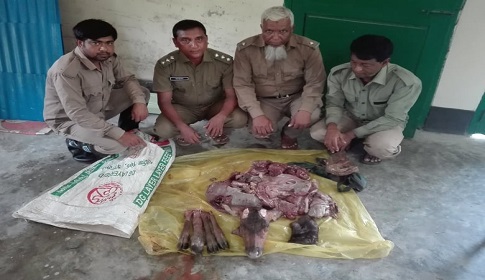 সুন্দরবন থেকে ১৫ কেজি হরিণের মাংস উদ্ধার