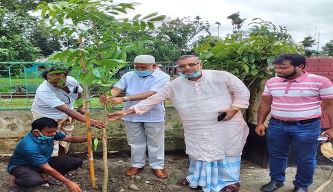 ঈশ্বরগঞ্জ বৃক্ষরোপন কর্মসূচির উদ্বোধন