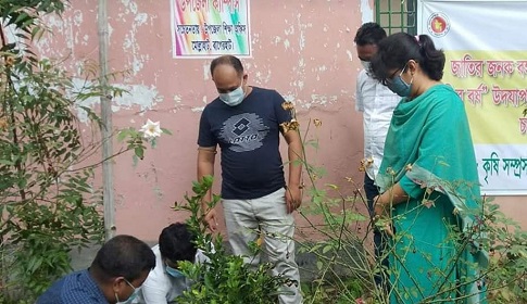 বাগেরহাটে মুজিববর্ষ উপলক্ষ্যে মোল্লাহাটে একশত বৃক্ষ রোপন