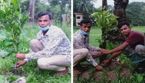 মুজিব বর্ষ উপলক্ষে বৃক্ষরোপন করেছে গলাচিপা উপজেলা ছাত্রলীগ
