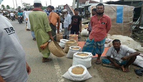 বিআর-২৩ ধানের ৩১ টাকার বীজ এখন ১০০ টাকা