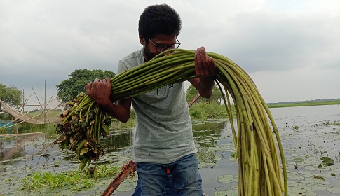 শ্রাবণ সন্ধ্যায় বর্ষা প্রকৃতি   