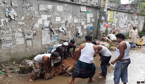 ঢাকায় বর্জ্য অপসারণে ১৭ হাজার কর্মী