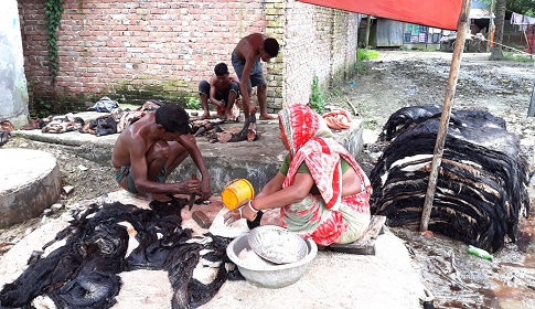 ৮টি ছাগলের চামড়া বিক্রি করে মিলছে না ১ কেজি কাঁচা মরিচ!