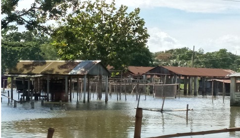 বন্যার পানিতে ভাসছে ঐতিহ্যবাহী করটিয়া হাট