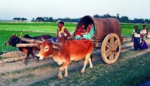 বাবার বাড়িতে নাইয়োর!