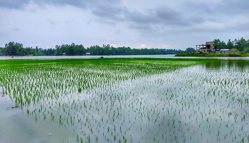 কুড়িগ্রামে নদীর পানি কমতে শুরু করেছে, বড় ধরনের বন্যার আশংকা নেই 