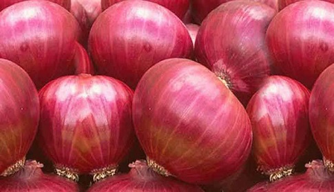 হিলির ওপাড়ে ৩০০ ট্রাক পেঁয়াজ!