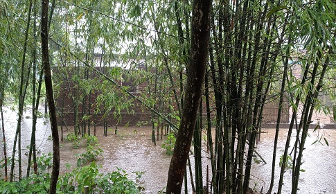 রাণীশংকৈলে টানাবর্ষণে জলাবদ্ধতায় দুর্ভোগ