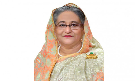 শেখ হাসিনার জন্মদিনে আ. লীগের যত আয়োজন