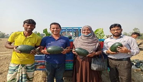 ঠাকুরগাঁওয়ে অসময়ে মাচায় তরমুজ চাষে সফল কৃষক বাবু