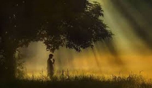 শীতের ভোর