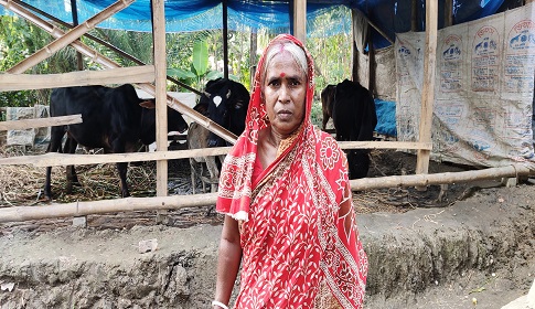 বাগেরহাটে ‘আমার বাড়ি, আমার খামার’ প্রকল্পে স্বাবলম্বী হচ্ছে হতদরিদ্ররা