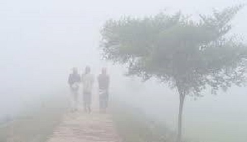 হিমেল বাতাস আর কুয়াশায় নাকাল রায়পুরের সাধারণ মানুষ