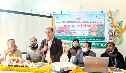 ঝিনাইদহে ফুলের উৎপাদন ও বিপনন বিষয়ক কৃষক প্রশিক্ষণ