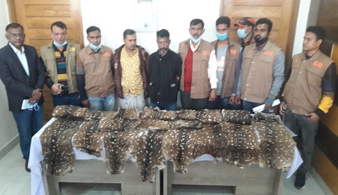 সুন্দরবনের ১৯টি হরিণের চামড়াসহ দুই পাচারকারী গ্রেপ্তার