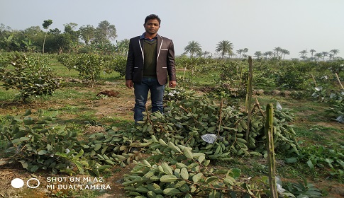 ঝিনাইদহে তরুণ উদ্যোক্তার স্বপ্নভঙ্গ