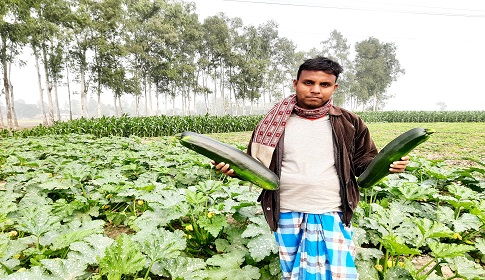 আত্রাইয়ে ব্যাপক সাড়া ফেলেছে মধ্যপ্রাচ্যের সবজি স্কোয়াশ চাষ