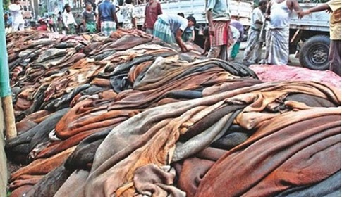 ৫ বিলিয়ন ডলারের বেশি চামড়া রফতানি করা সম্ভব