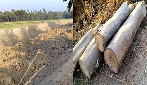 রাতের আঁধারে নিধন হচ্ছে গাছ কাটা হচ্ছে মাটি, নিশ্চুপ প্রশাসন  