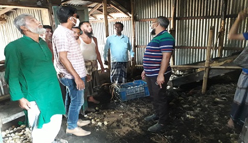 মদনে অগ্নিকাণ্ডে হ্যাচারী পুড়ে ছাই