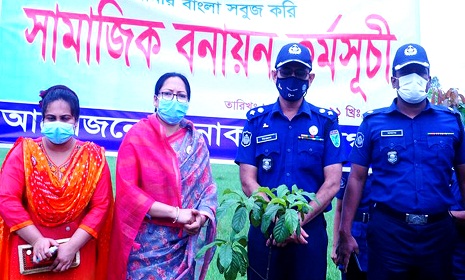 মুজিব শতবর্ষে সুনামগঞ্জ পুনাকের আয়োজেনে বৃক্ষরোপন