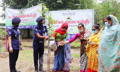 নীলফামারীতে ২০ প্রজাতির গাছের চারা রোপণ করল পুুনাক