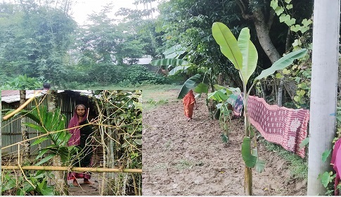 কমলগঞ্জে বাড়ির রাস্তা কেটে জোরপূর্বক দখল, রাতে সন্ত্রাসী হামলা! 