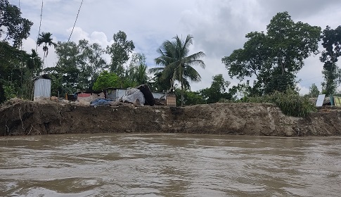 সিরাজগঞ্জে কমছে যমুনার পানি, ভাঙছে পাড়