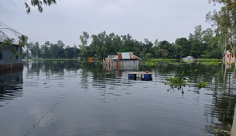 সিরাজগঞ্জে যমুনার পানি কমছে