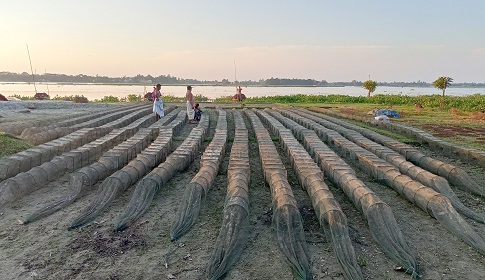 কুলিয়ারচরের সর্বত্র ম্যাজিক জালের ছড়াছড়ি, দেশীয় মাছ বিলুপ্তির আশঙ্কা
