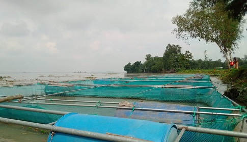 রাজারহাটে খাঁচায় মাছ চাষে আগ্রহ বাড়ছে চাষিদের