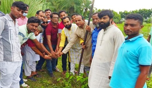 সিংড়ায় ৩ হাজার তালের চারা রোপন করবে যুবদল