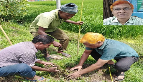 দিনাজপুরে বৃক্ষপ্রেমিক আখতার হামিদ