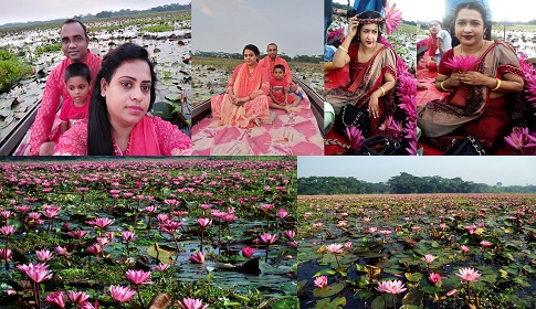 লাল শাপলার রাজ্যে ছুঁটছেন প্রকৃতি প্রেমিরা