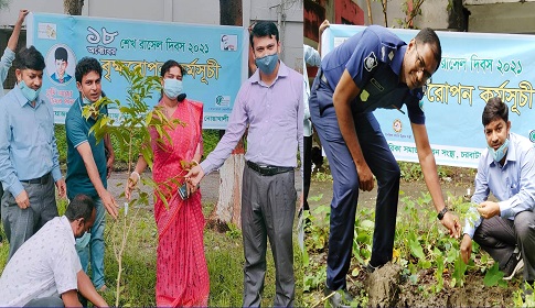 শেখ রাসেল দিবস উপলক্ষে সুবর্ণচরে সাগরিকার বৃক্ষরোপণ কর্মসূচি