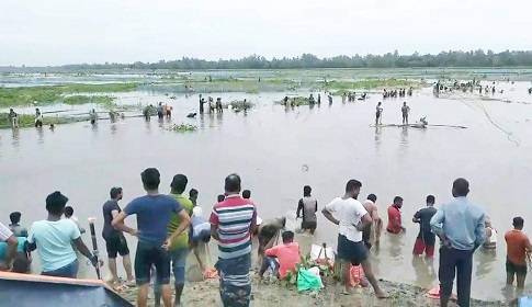 ঠাকুরগাঁওয়ে চলছে মাছ ধরার উৎসব