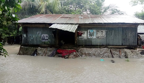 শরণখোলায় অতিবৃষ্টিতে পানিবন্দি ৩ হাজার পরিবার