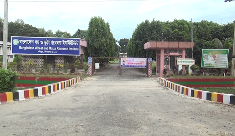 বাংলাদেশ গম ও ভুট্টা গবেষণা ইনষ্টিটিউটের অভ্যন্তরে অনিয়ম-দুর্নীতি ও যৌন কেলেংকারীর অভিযোগ