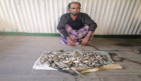 সুন্দরবনে বিষ দিয়ে মাছ ধরার সময় আটক ১