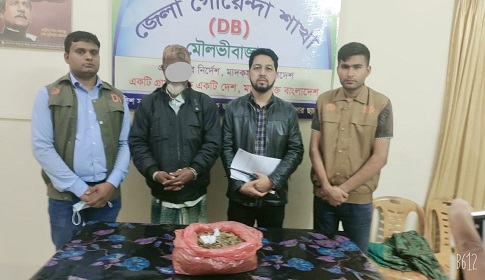 মৌলভীবাজারে গাঁঁজাসহ মাদক ব্যবসায়ী আটক