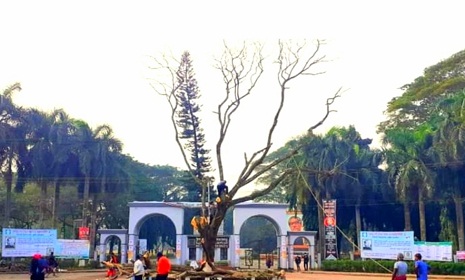 ইবিতে লাল গালিচার বিদায়ে অশ্রুসিক্ত সবাই