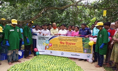ইউরোপ যাত্রায় সাতক্ষীরার বিষমুক্ত আম হিমসাগর