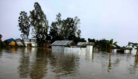 গাইবান্ধায় কমছে নদ-নদীর পানি, কমেনি দুর্ভোগ