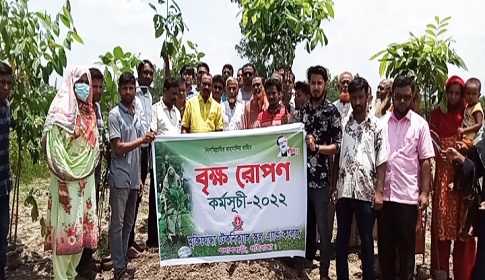পলাশবাড়ীতে মুক্তিযোদ্ধা টেকনিক্যাল স্কুল এ্যান্ড কলেজে বৃক্ষরোপণ কর্মসূচি