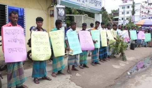 লক্ষ্মীপুরে নিম্নমানের বীজে সর্বশান্ত কৃষক, প্রতিবাদে মানববন্ধন