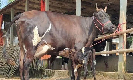 চাকুরীর পিছনে না ছুটে, নিজেই হয়ে উঠুন সফল উদ‍্যাক্তা