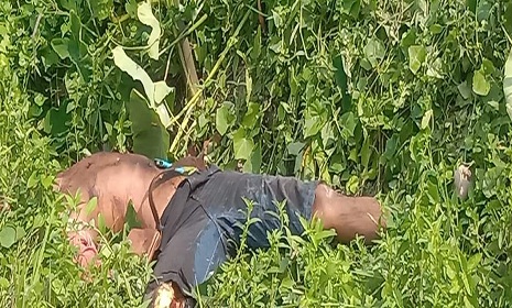 ধামরাইয়ে পুলিশের সোর্স আমিরুল খুন