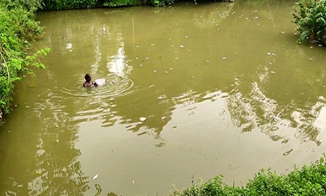 পূর্ব শত্রুতার জেরে খামারে বিষ ঢেলে মাছ নিধন