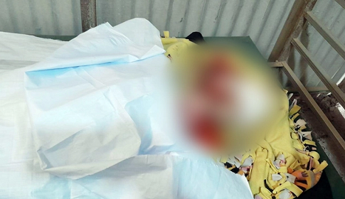 রোহিঙ্গা ক্যাম্পে গুলিতে নারী নিহত, হাসপাতালে হেড মাঝি